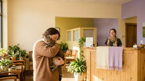 Owner holding a calm cat in a bright, welcoming community vet clinic offering affordable vet care