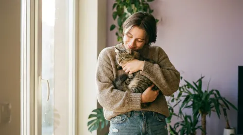 Gen Z pet owner holding a relaxed cat against their chest by a sunlit apartment window